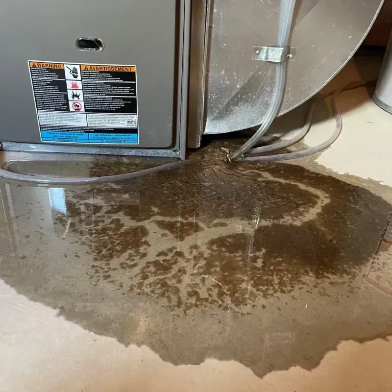 Appliance Leak Cleanup in Santo Domingo Pueblo, NM